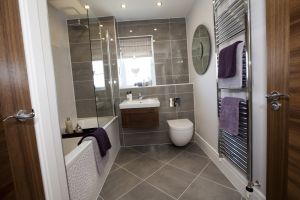 chestnut shadwell 19 sm.jpg
